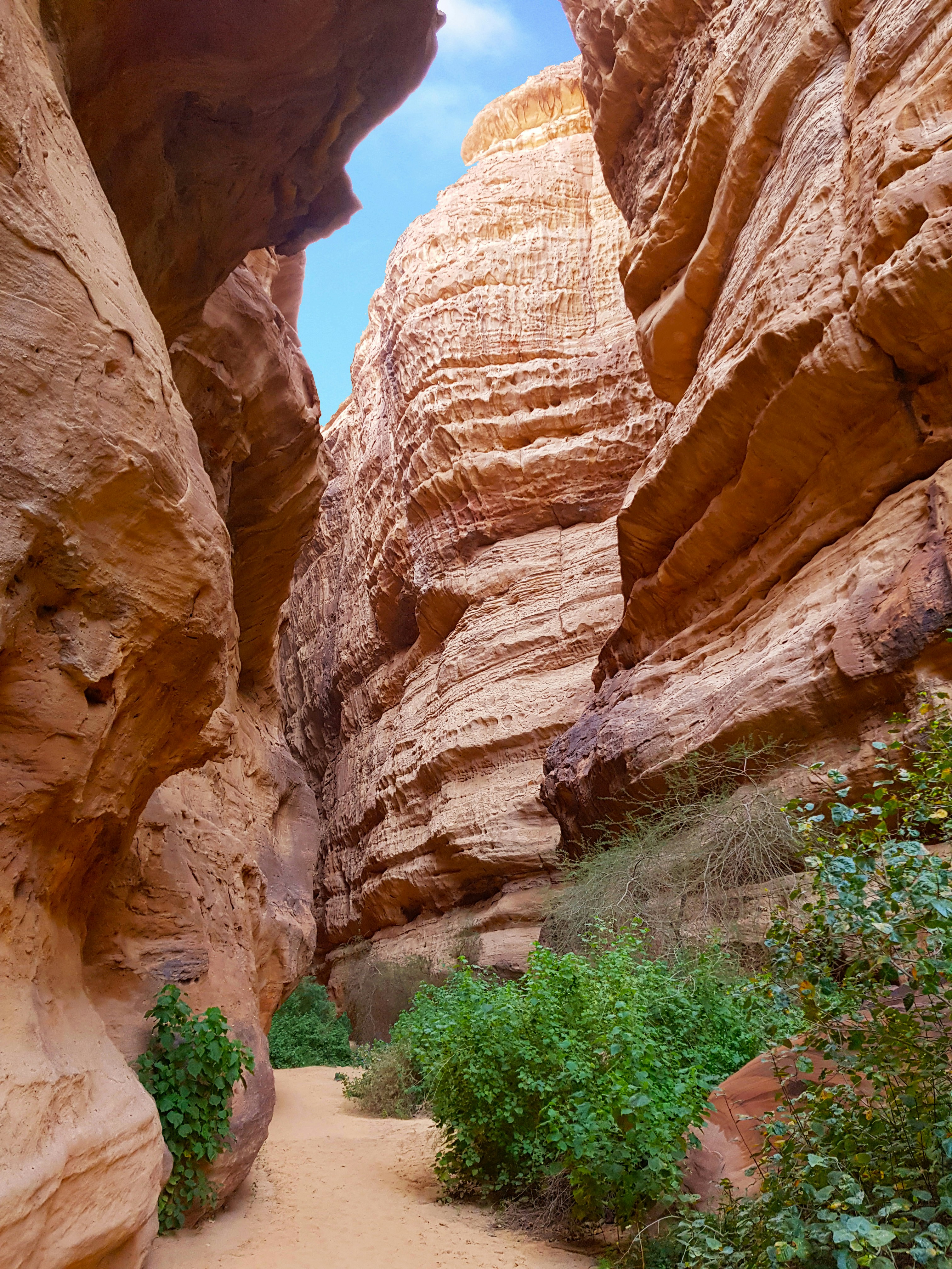 Cañón en el entorno de AlUla, Arabia Saudí